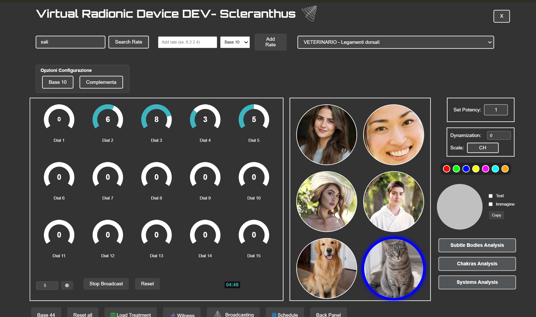 Virtual Radionics Instrument